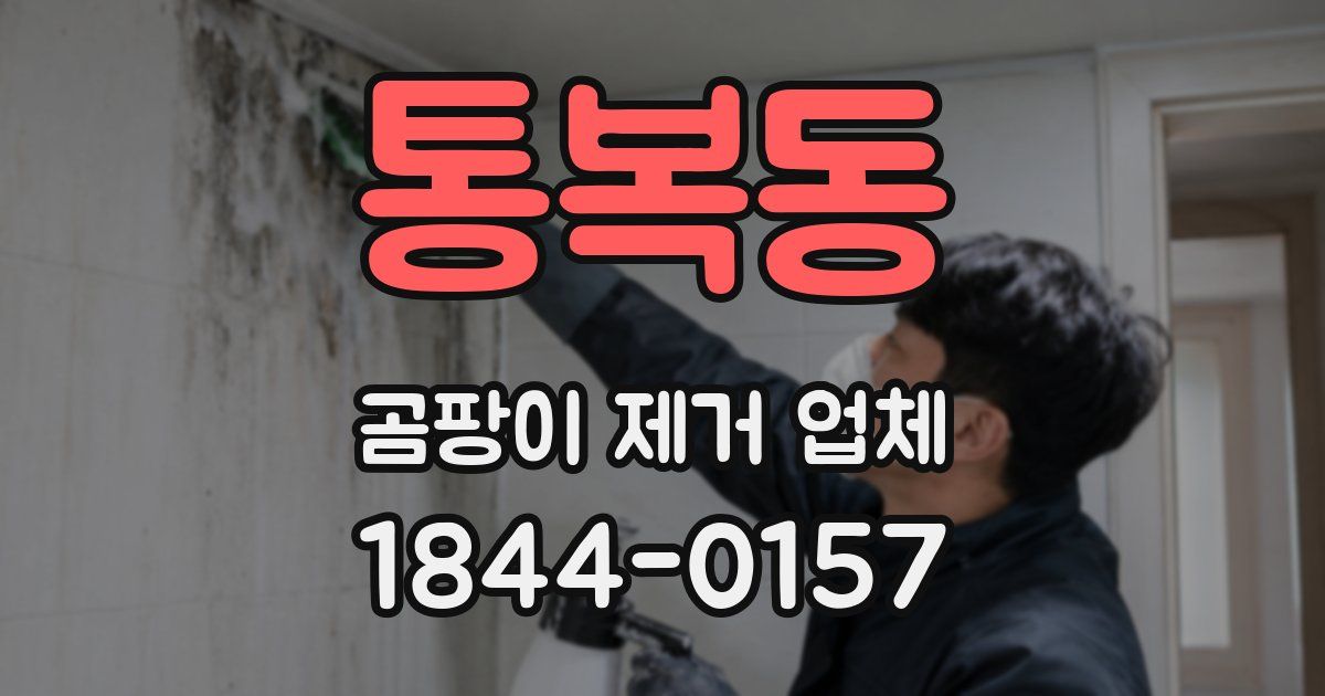통복동 곰팡이 제거 업체