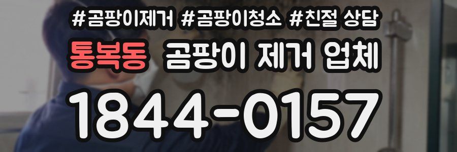 통복동 곰팡이 제거 업체