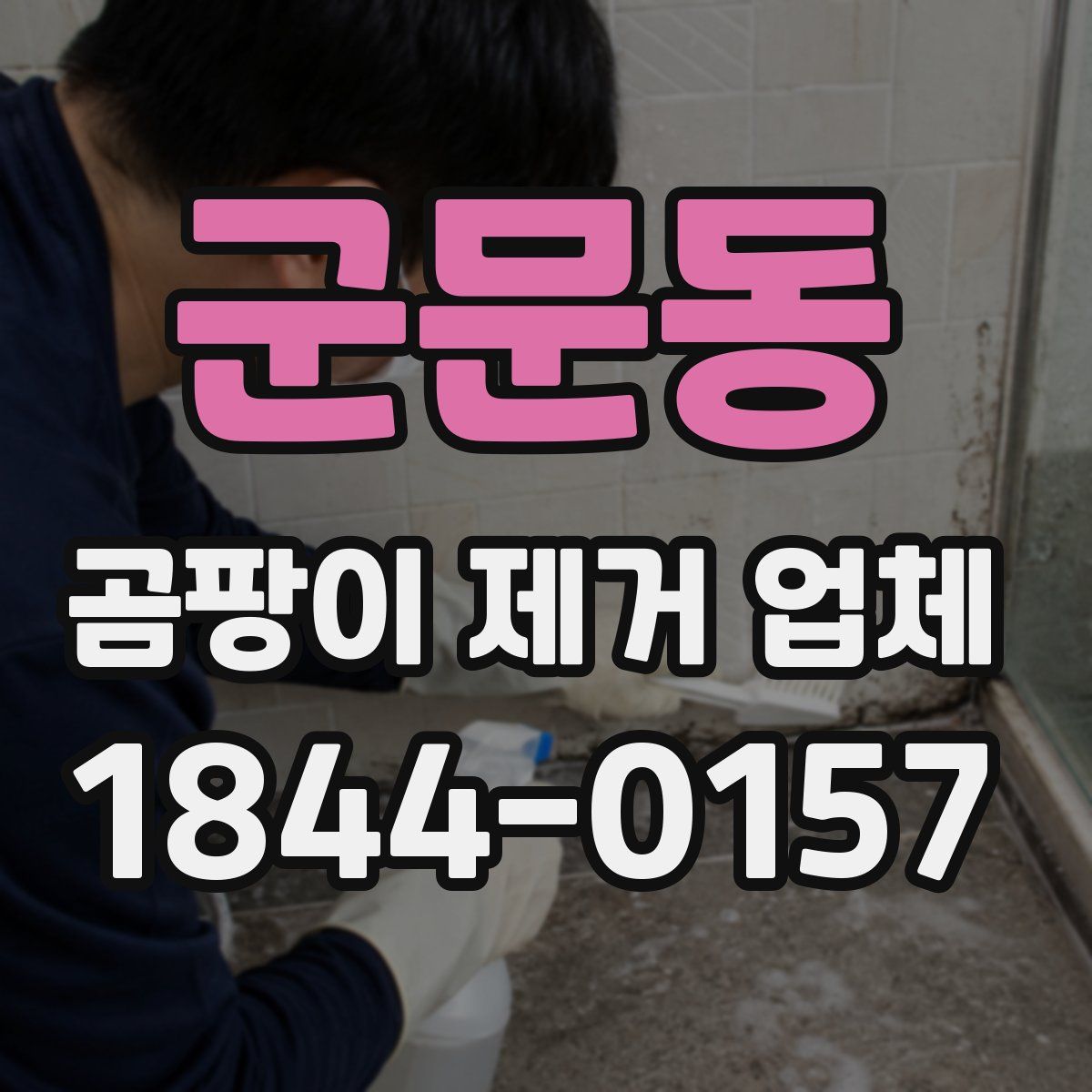 군문동 곰팡이 제거 업체