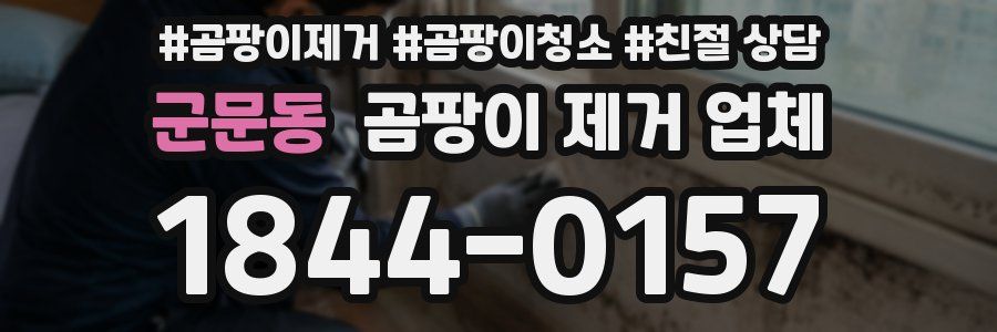 군문동 곰팡이 제거 업체