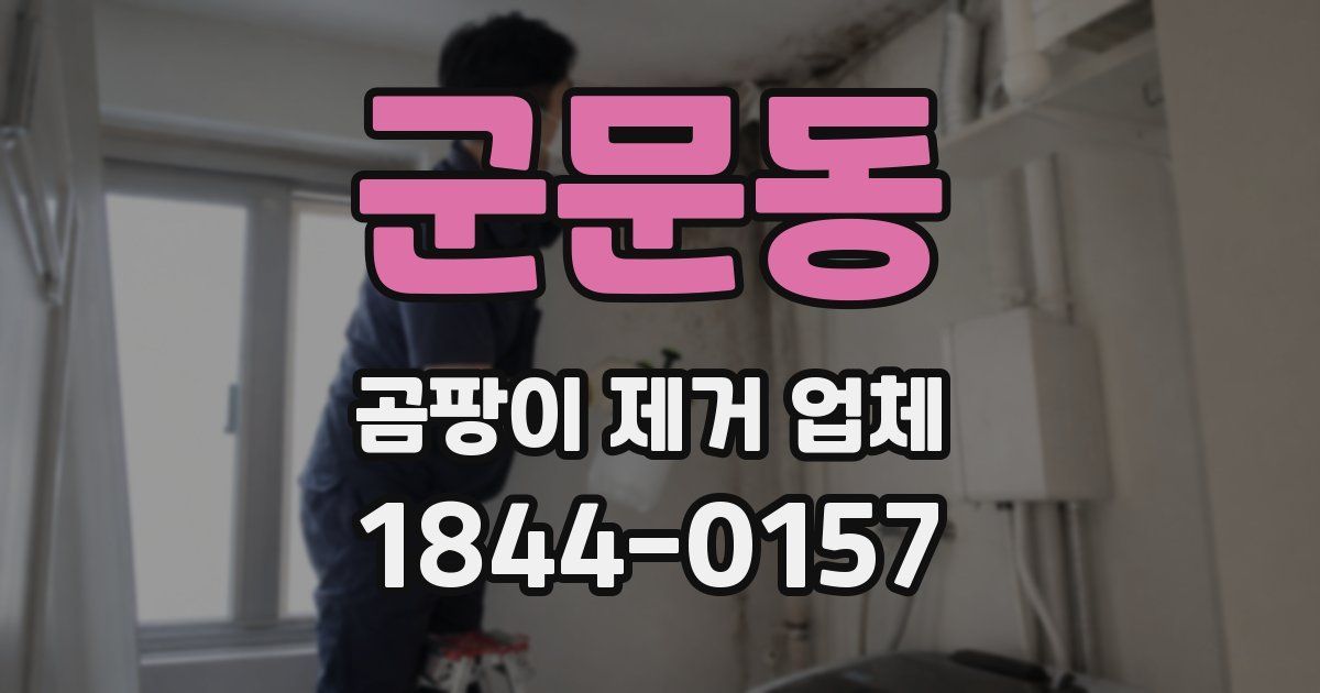 군문동 곰팡이 제거 업체