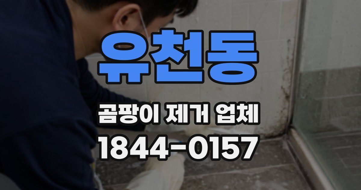 유천동 곰팡이 제거 업체