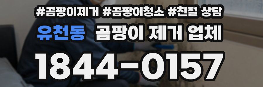 유천동 곰팡이 제거 업체