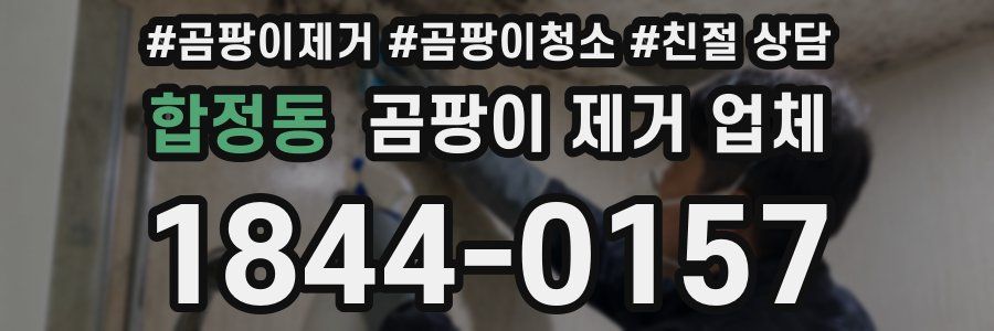 합정동 곰팡이 제거 업체