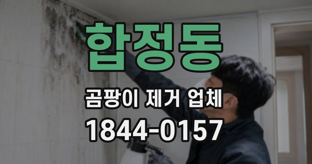 합정동 곰팡이 제거 업체