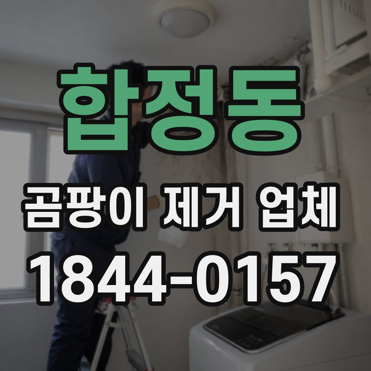 합정동 곰팡이 제거 업체