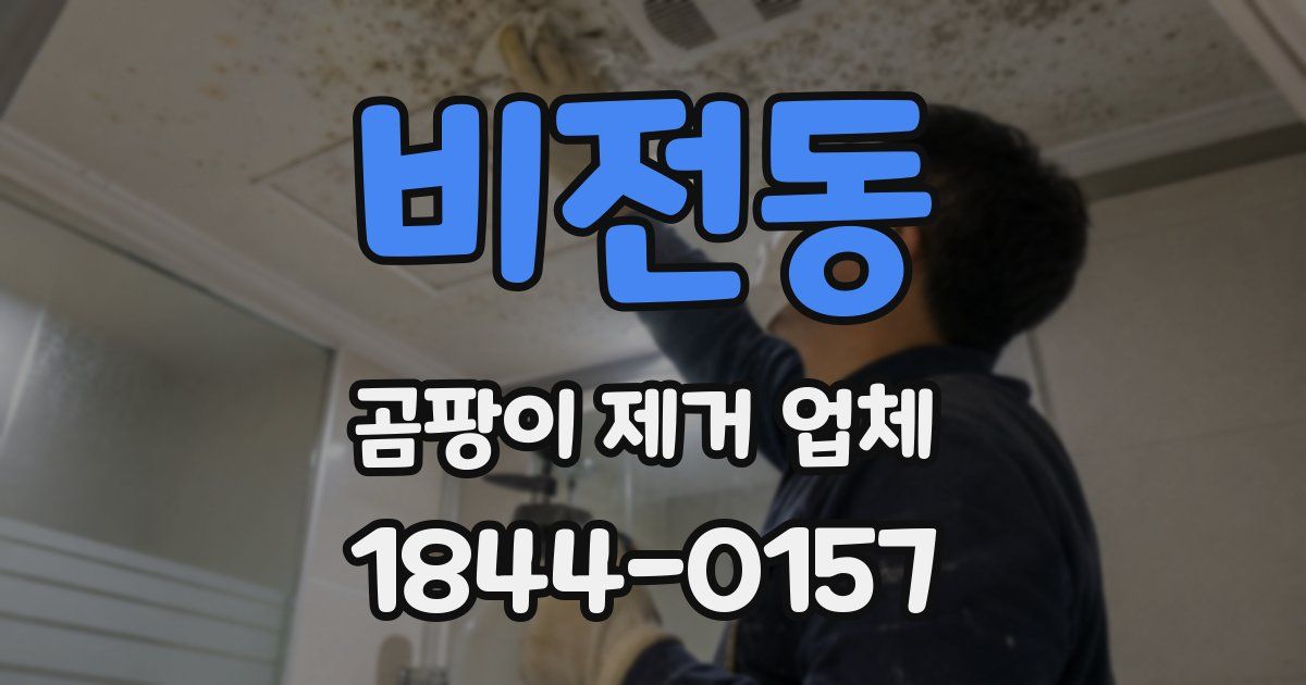 비전동 곰팡이 제거 업체