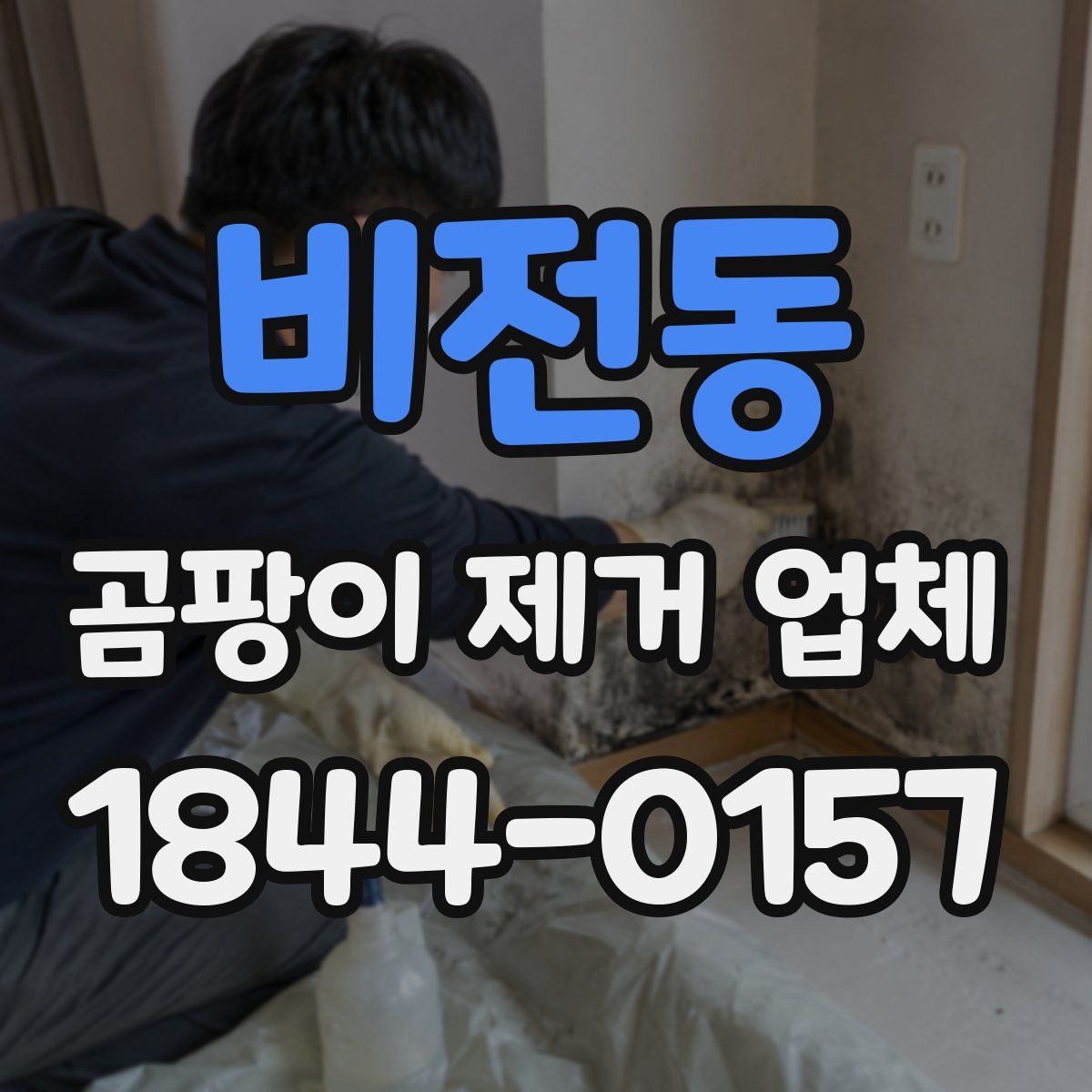 비전동 곰팡이 제거 업체