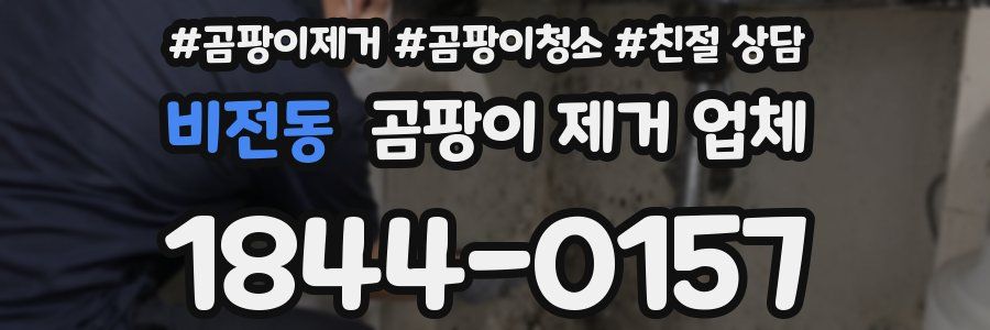 비전동 곰팡이 제거 업체