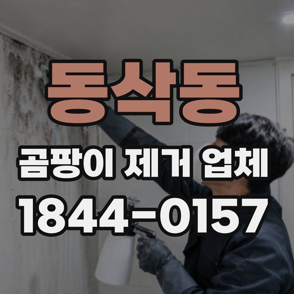 동삭동 곰팡이 제거 업체