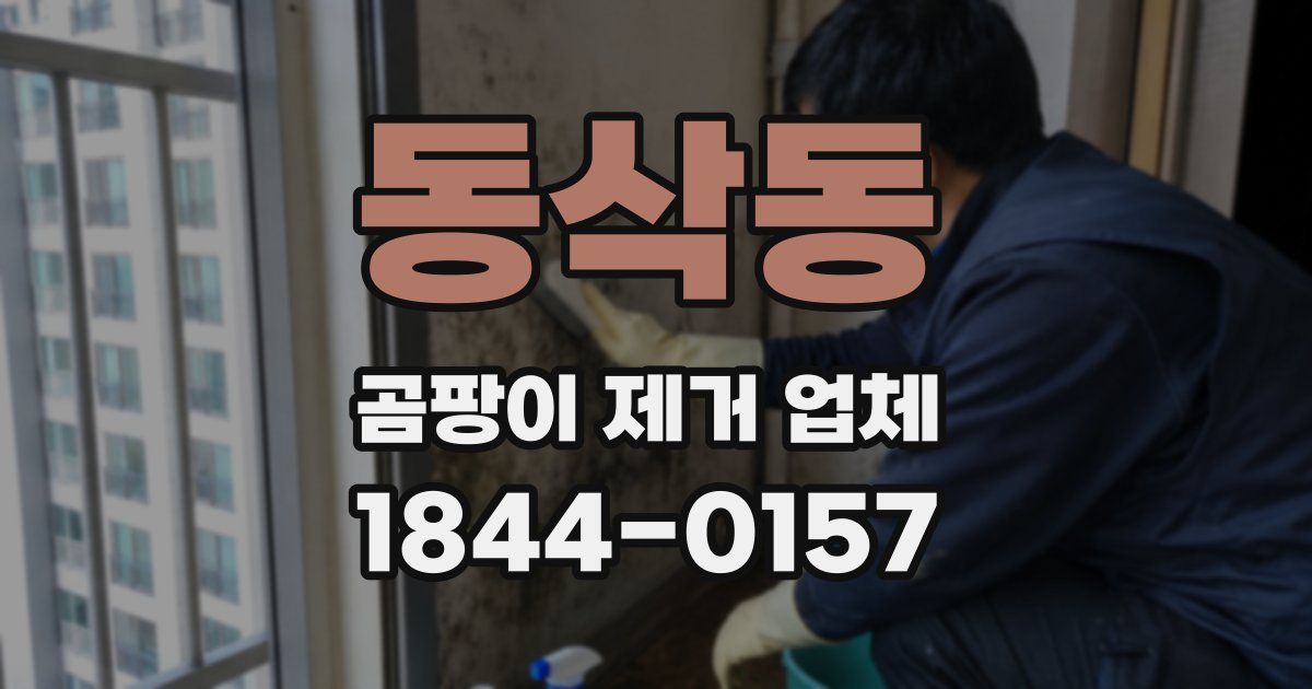동삭동 곰팡이 제거 업체