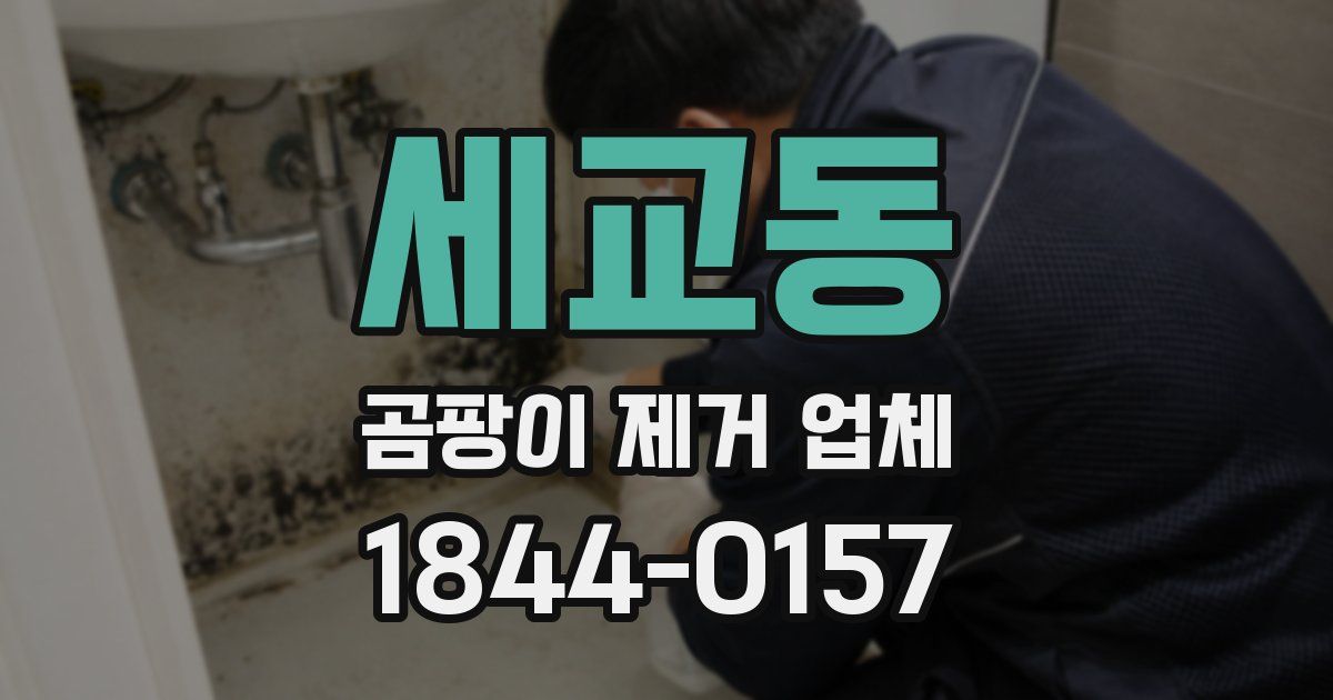 세교동 곰팡이 제거 업체
