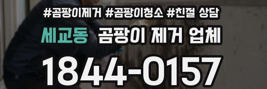 세교동 곰팡이 제거 업체
