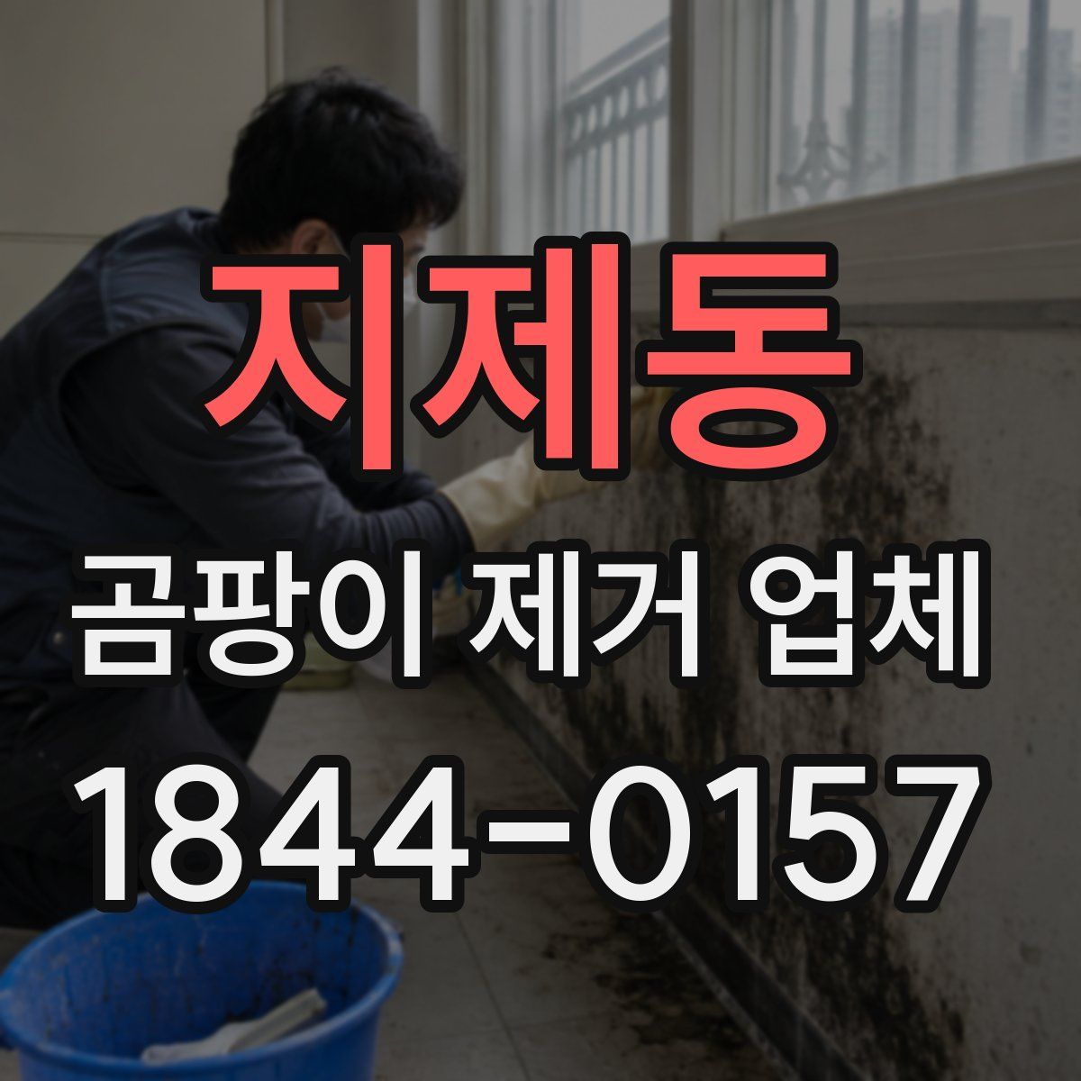 지제동 곰팡이 제거 업체