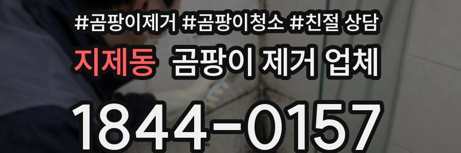 지제동 곰팡이 제거 업체
