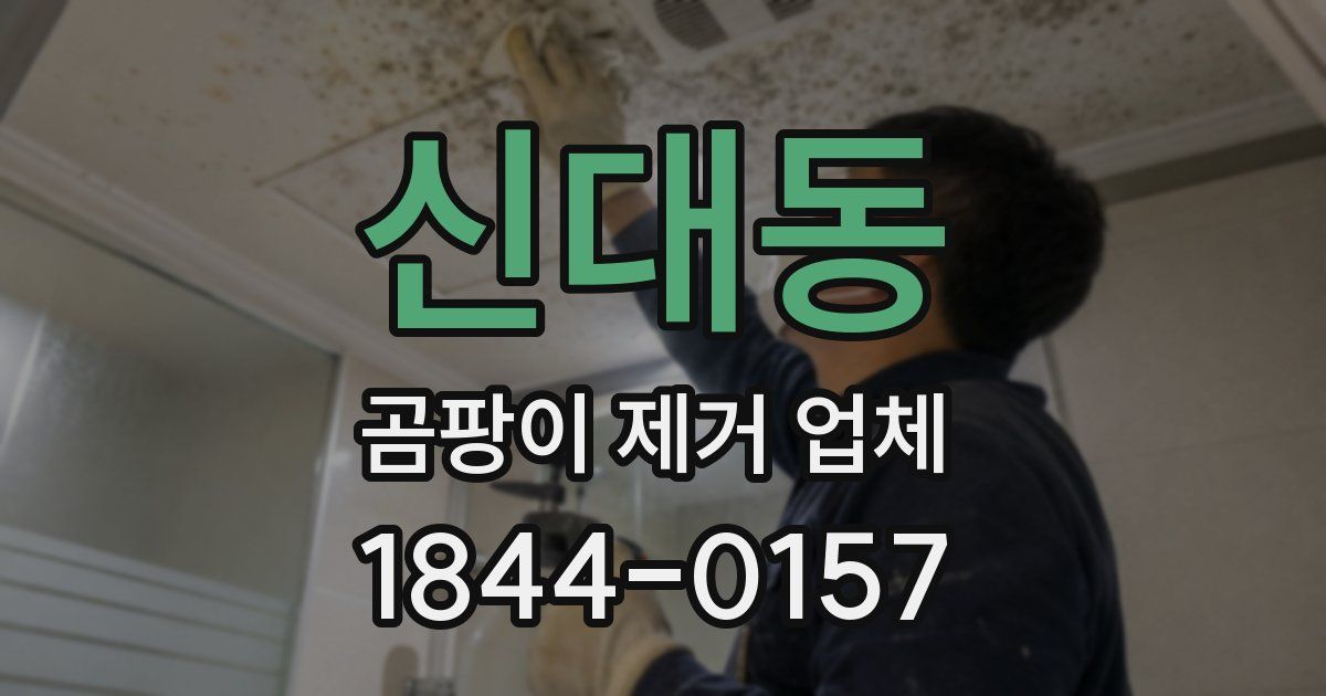 신대동 곰팡이 제거 업체