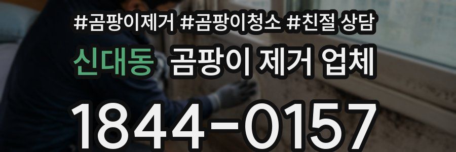 신대동 곰팡이 제거 업체
