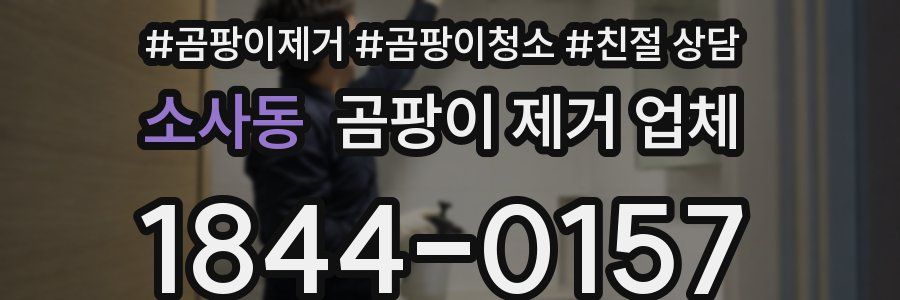 소사동 곰팡이 제거 업체