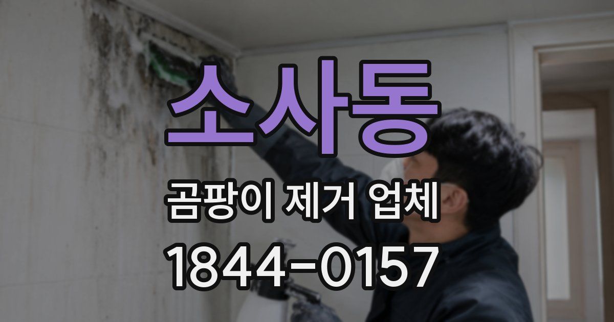 소사동 곰팡이 제거 업체