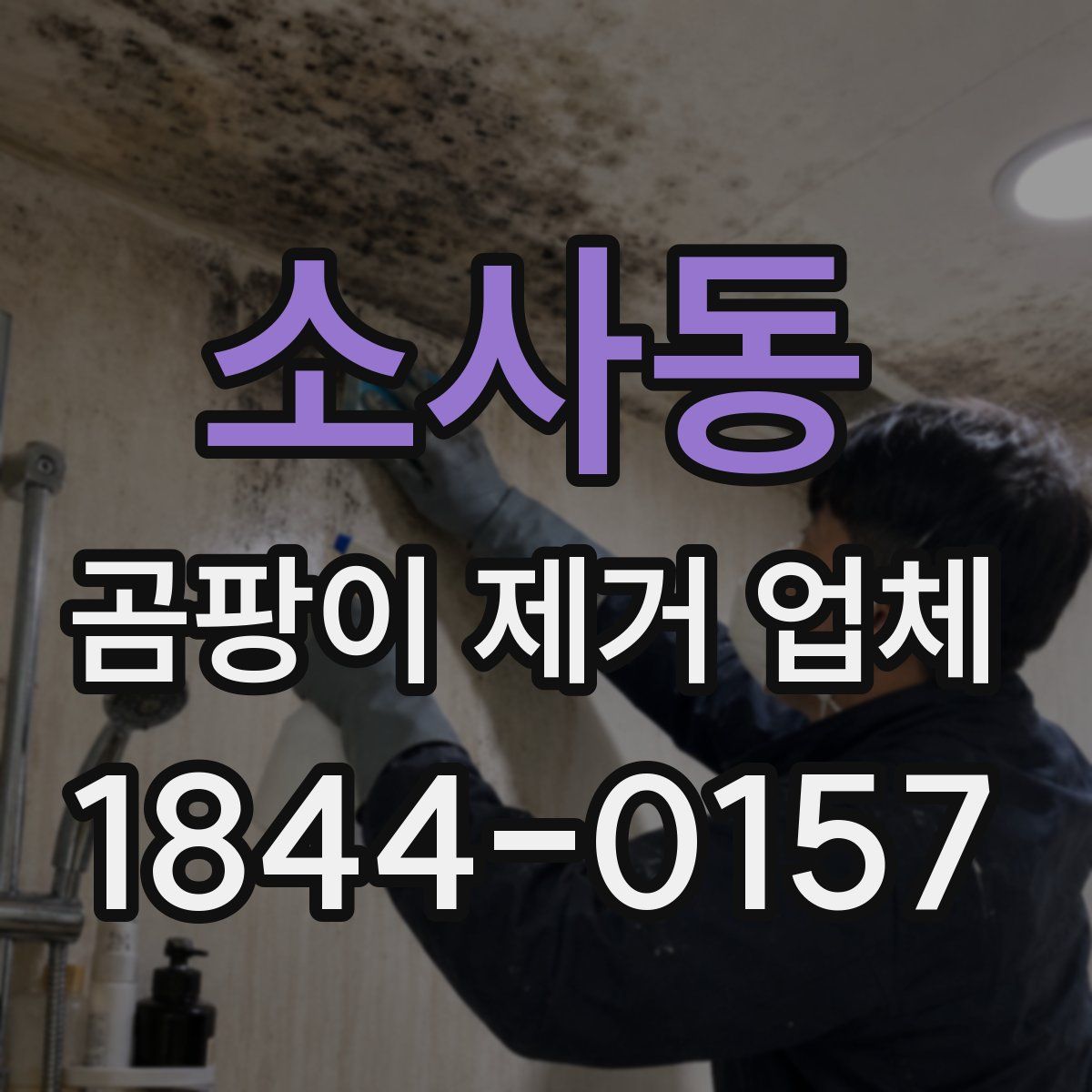 소사동 곰팡이 제거 업체