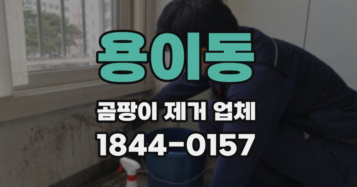 용이동 곰팡이 제거 업체