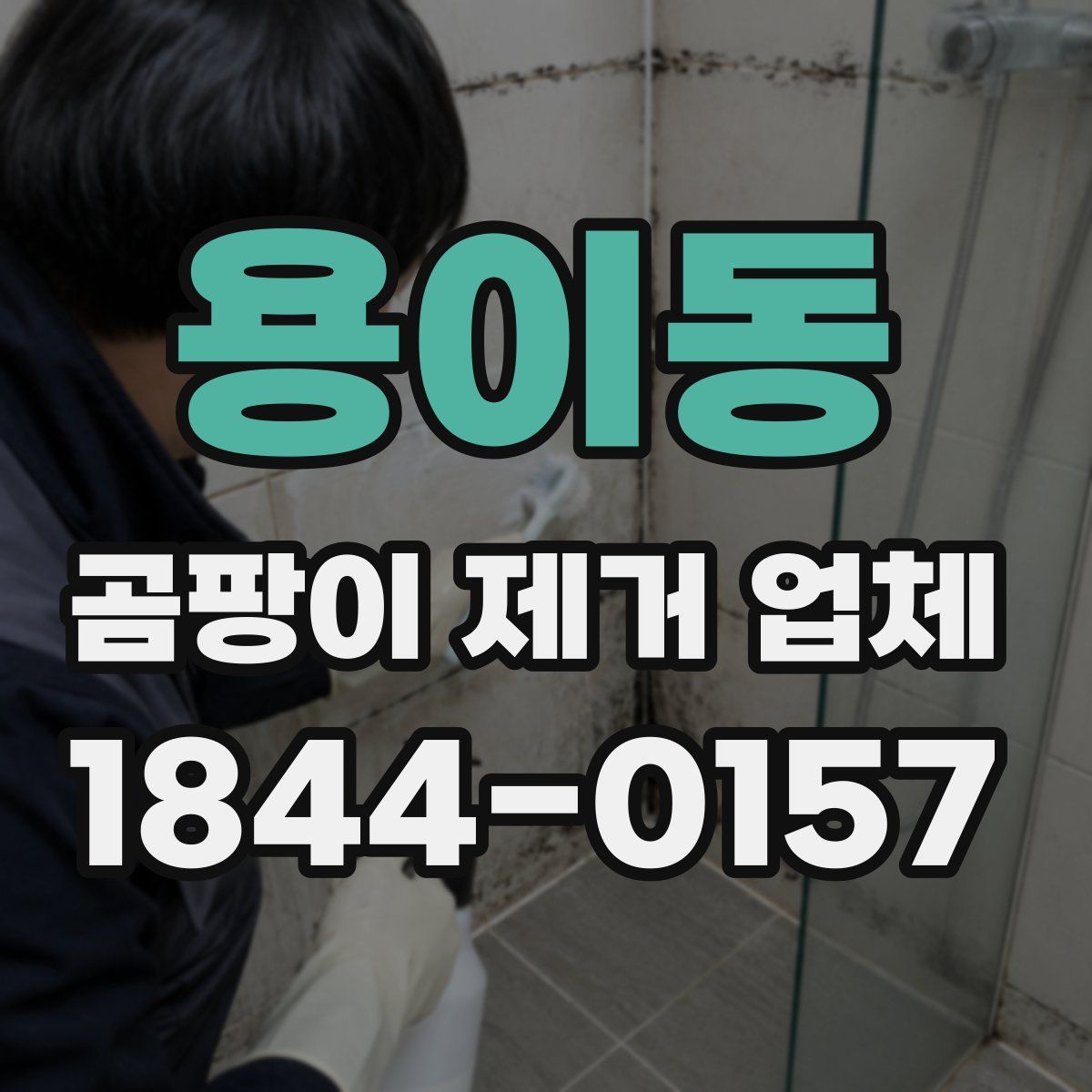 용이동 곰팡이 제거 업체