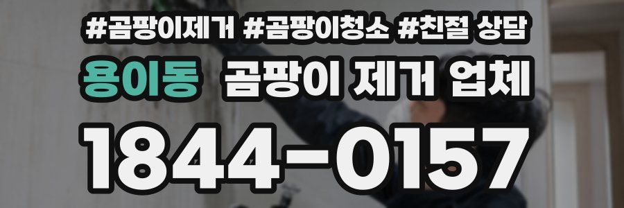 용이동 곰팡이 제거 업체