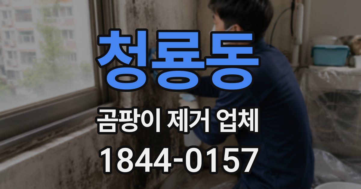청룡동 곰팡이 제거 업체