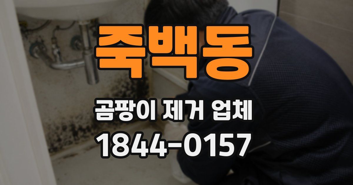 죽백동 곰팡이 제거 업체