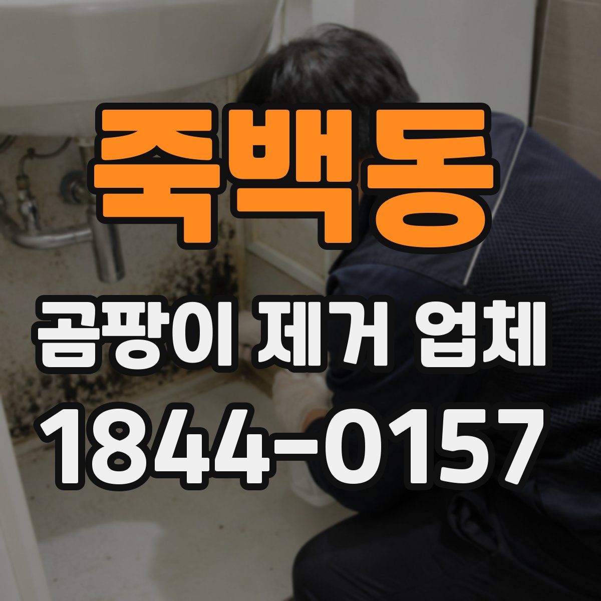 죽백동 곰팡이 제거 업체