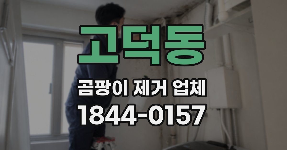 고덕동 곰팡이 제거 업체