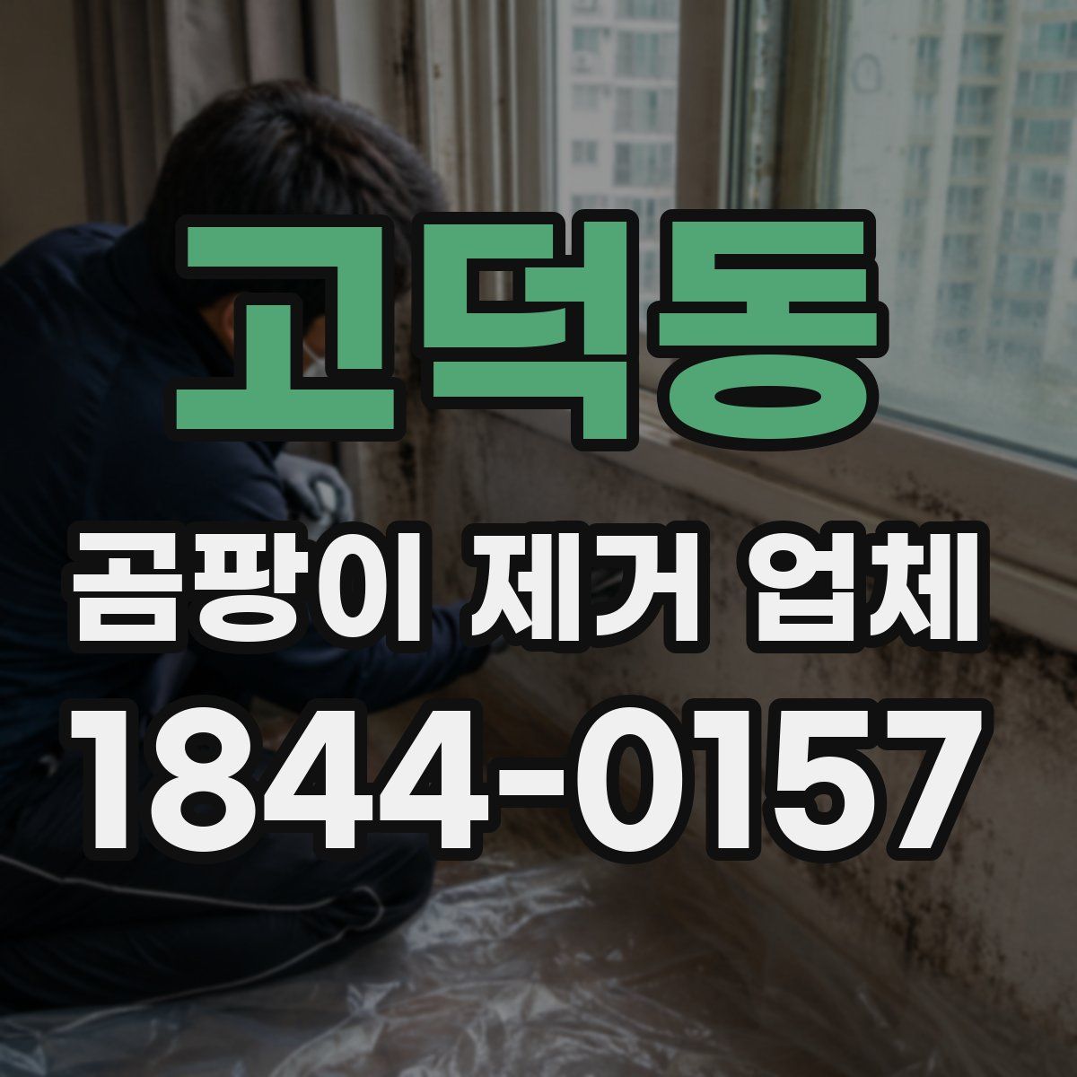 고덕동 곰팡이 제거 업체