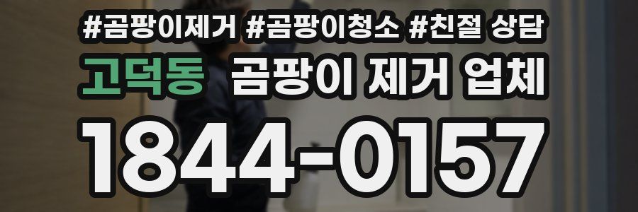고덕동 곰팡이 제거 업체