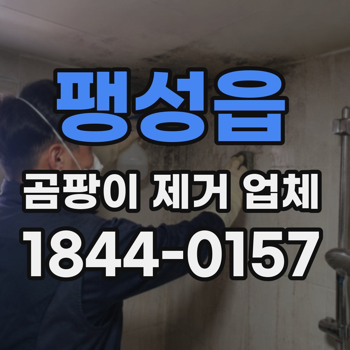 팽성읍 곰팡이 제거 업체