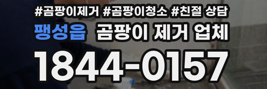 팽성읍 곰팡이 제거 업체