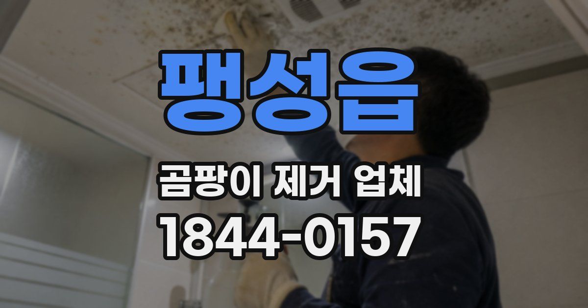 팽성읍 곰팡이 제거 업체