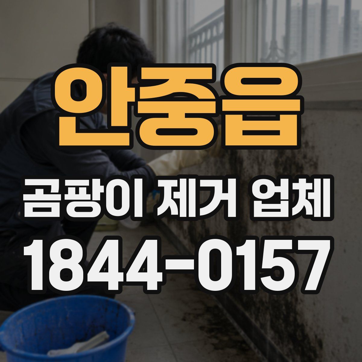 안중읍 곰팡이 제거 업체
