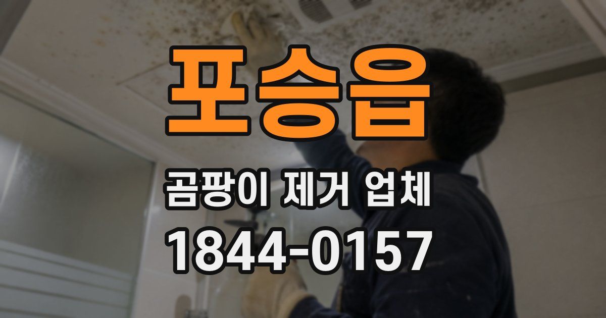 포승읍 곰팡이 제거 업체