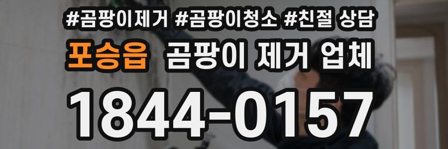 포승읍 곰팡이 제거 업체