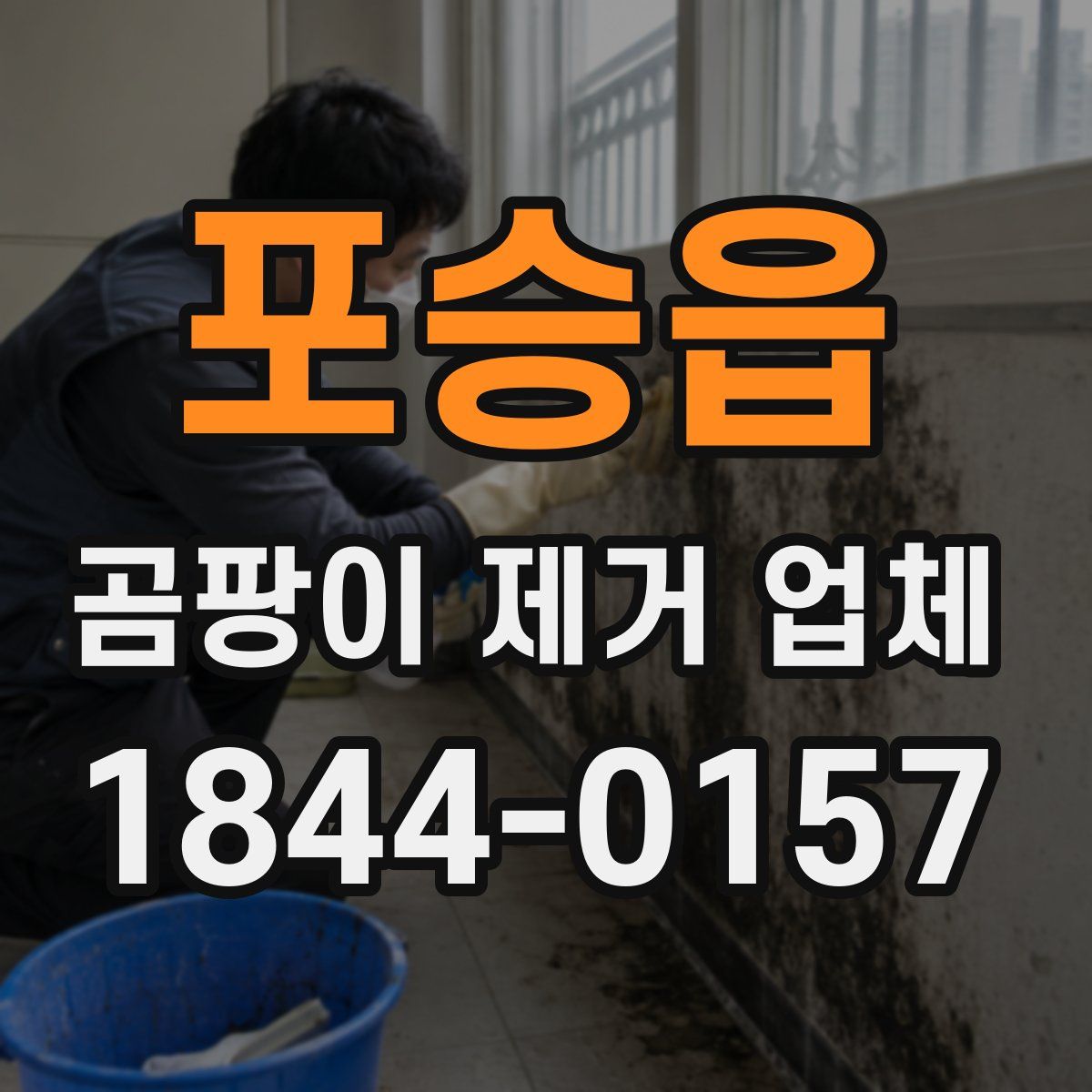 포승읍 곰팡이 제거 업체