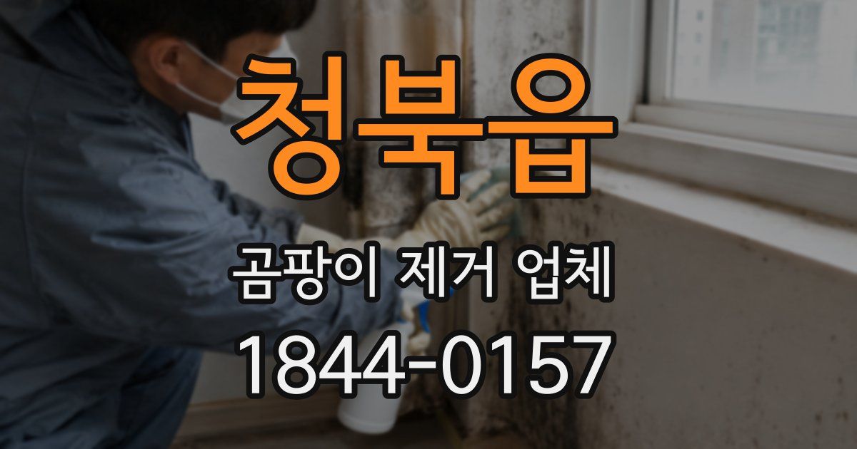 청북읍 곰팡이 제거 업체