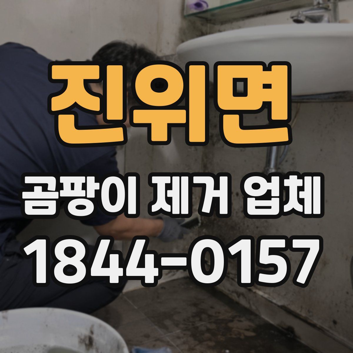 진위면 곰팡이 제거 업체