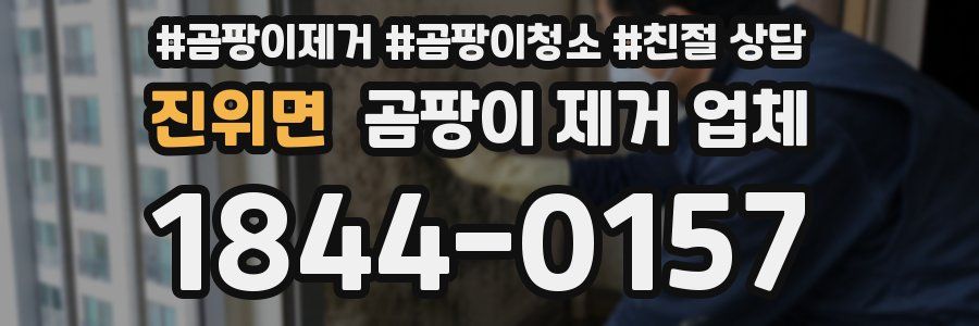 진위면 곰팡이 제거 업체