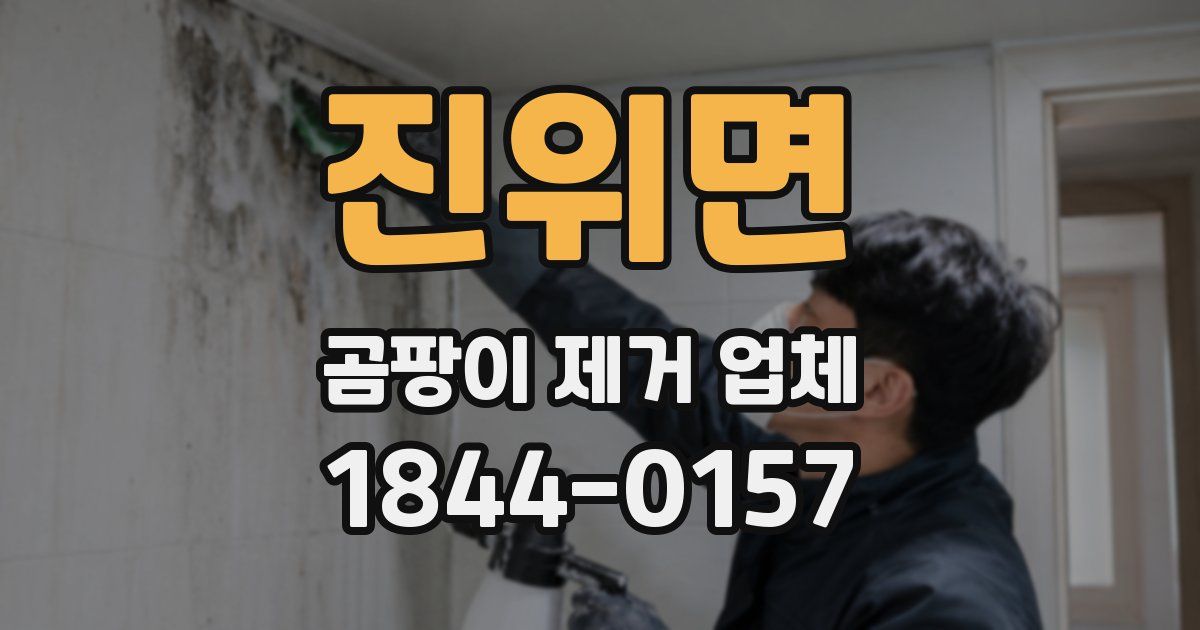 진위면 곰팡이 제거 업체