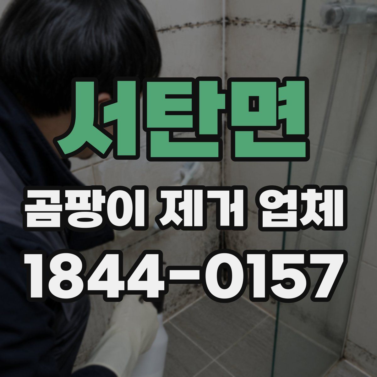 서탄면 곰팡이 제거 업체