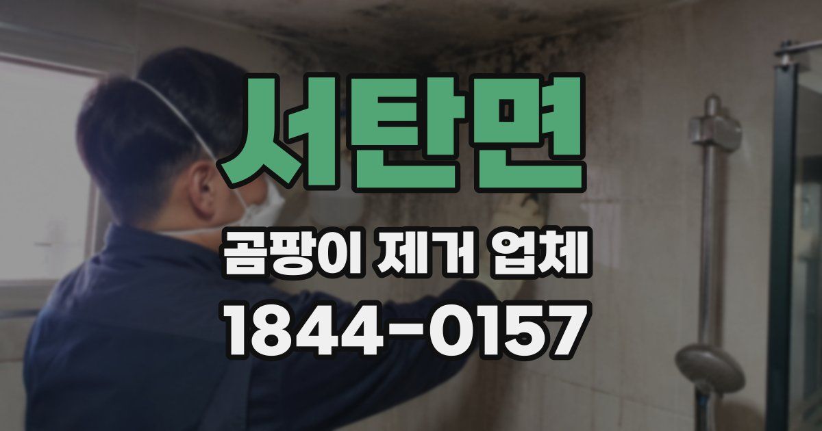 서탄면 곰팡이 제거 업체