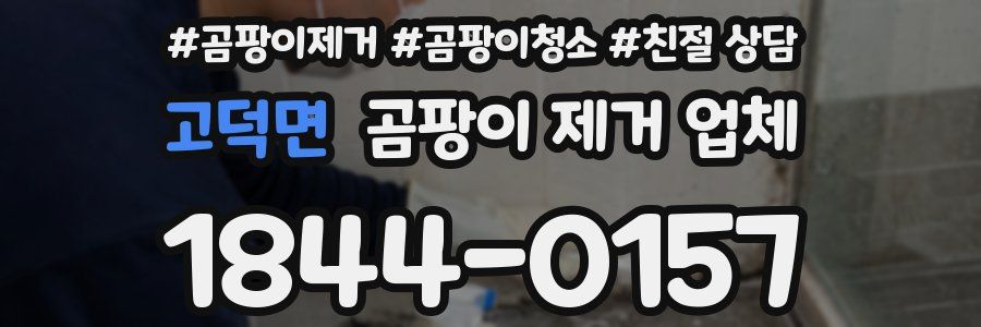 고덕면 곰팡이 제거 업체