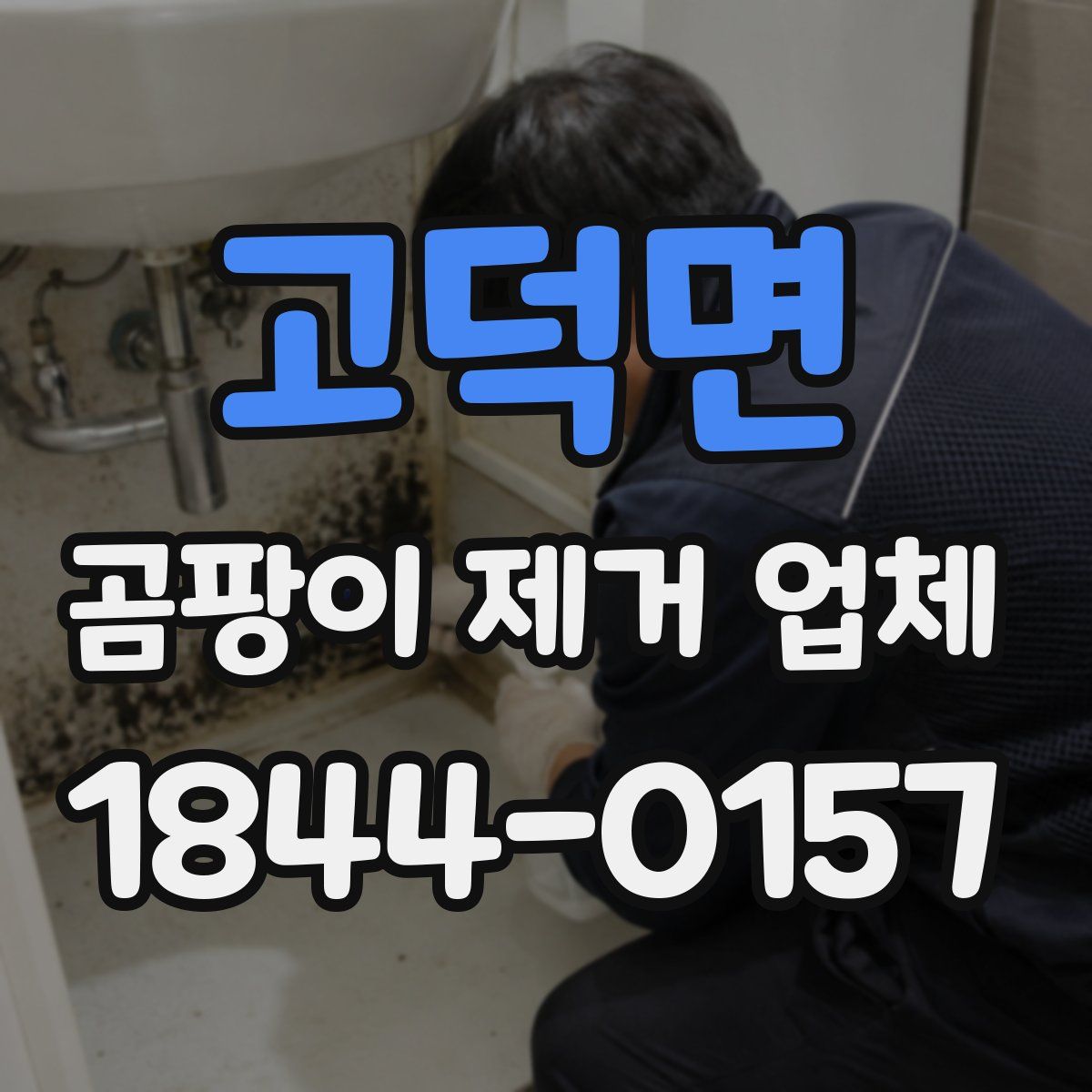고덕면 곰팡이 제거 업체
