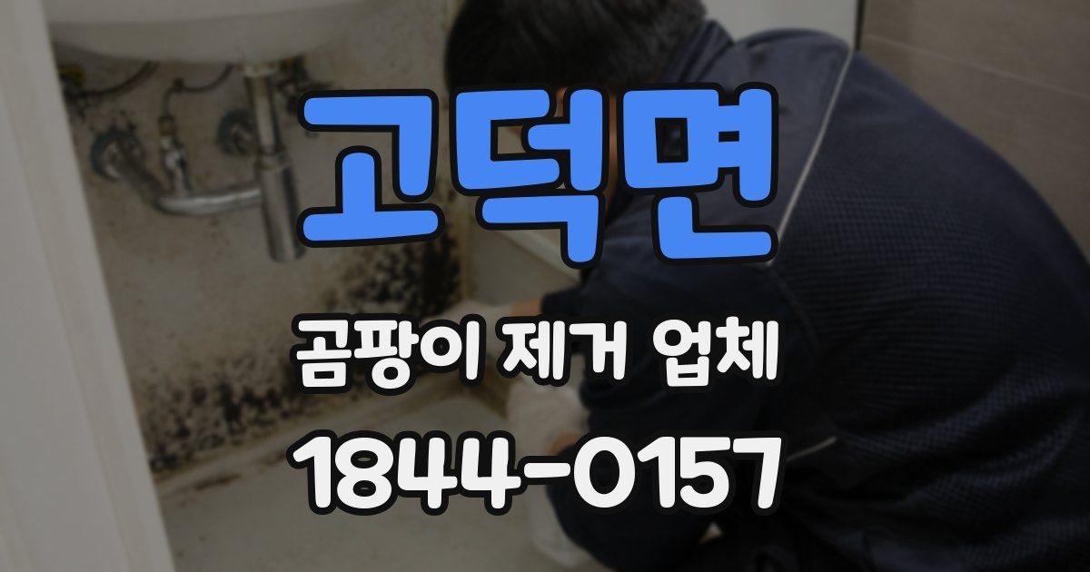 고덕면 곰팡이 제거 업체