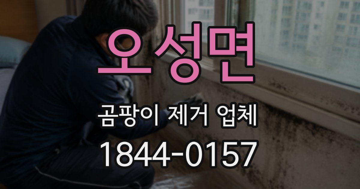 오성면 곰팡이 제거 업체